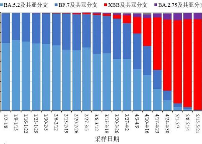 中国疫情以来死亡人数数据图（中国疫情死亡人数占比）
