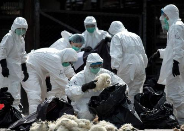 中国新冠疫情死亡人数一共多少人（中国新冠疫情截至目前死亡人数是多少）