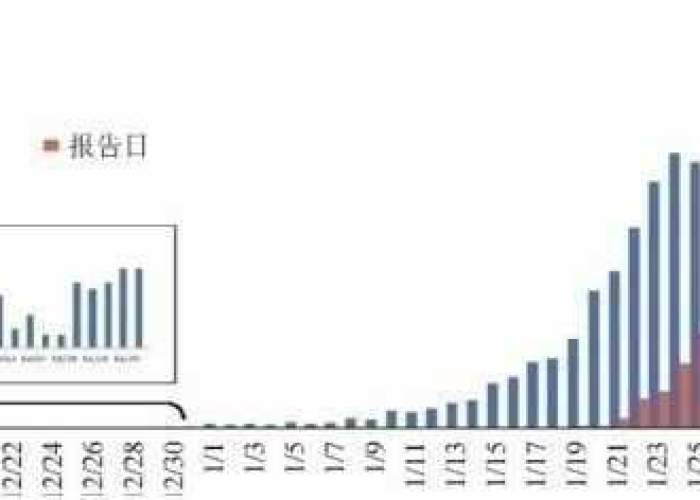 疫情是从哪年到哪年开始的（疫情是从几年几月几日开始的?）