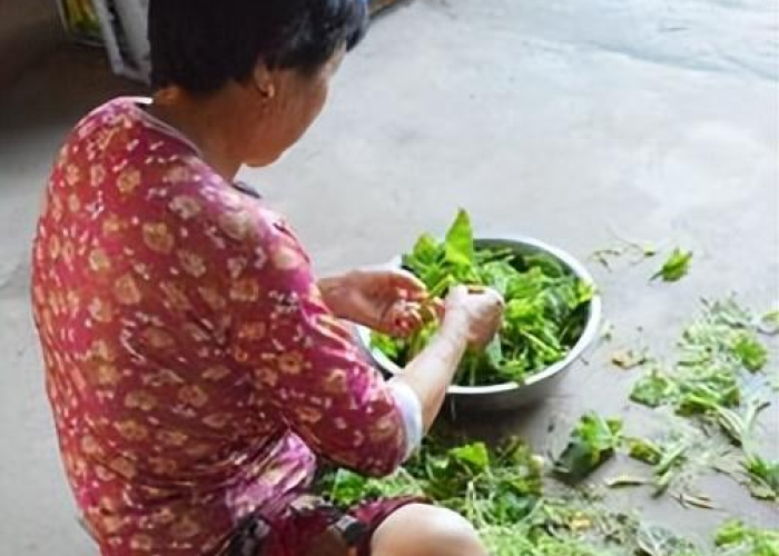 疫情家里应该备什么吃的（疫情家里准备什么吃的）