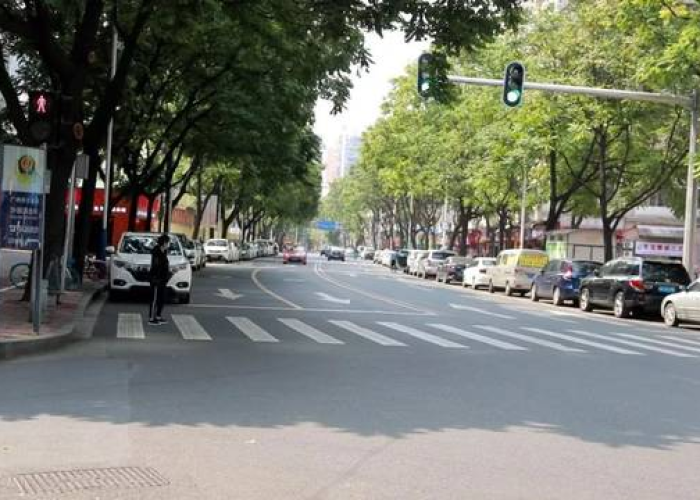 疫情放开后街上没人冷冷清清的（疫情大街小巷没人的感慨）