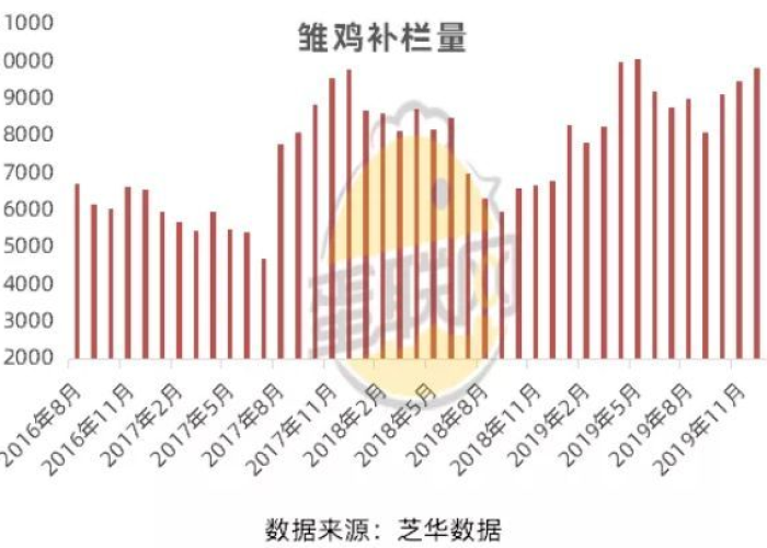 2026年疫情严重吗（2051年疫情）