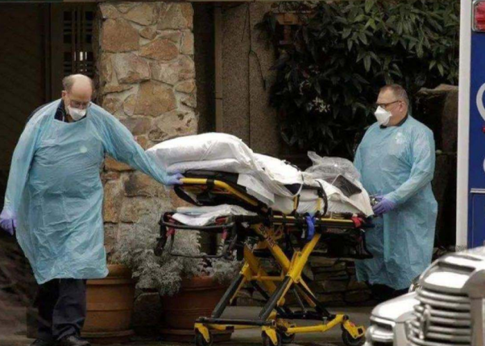 新冠疫情最新消息死多少人（新型冠状病毒疫情死了多少人）