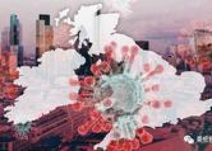 疫情全面爆发英语（疫情爆发了 英语）