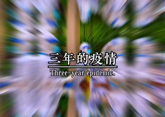 疫情时期的回忆（疫情时期的回忆300字）