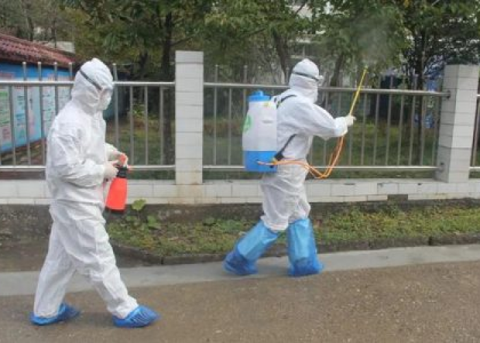 关于疫情议论文作文800字（关于疫情的议论文1000字优秀文章）