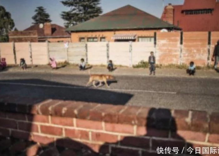 新冠疫情最新封城（新冠疫情最新封城的城市）