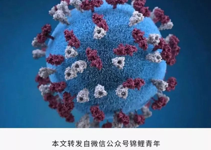 新冠肺炎疫情全过程梳理（新型冠状病毒疫情全过程）