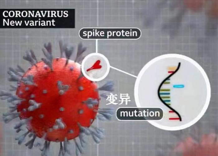 新冠疫情变异的两种病毒（新冠疫情的变异毒株）