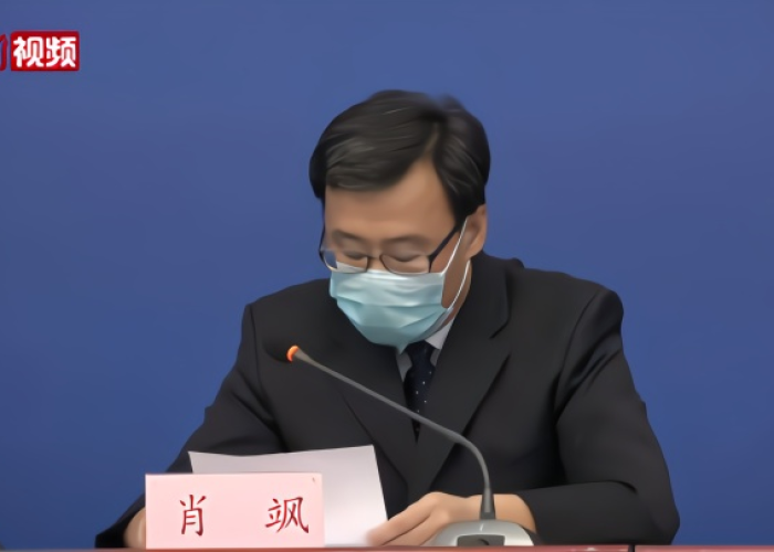 湖北疫情领导处理（湖北疫情处分官员）