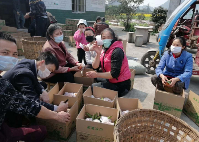 四川宜宾疫情最新消息实时（四川宜宾疫情最新消息实时查询）