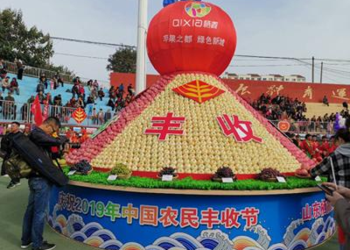 山东省栖霞官道镇大丁家新冠疫情（栖霞区丁家庄未来发展）