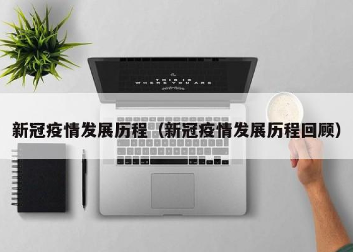新冠疫情的历史专题（新冠疫情编年史）