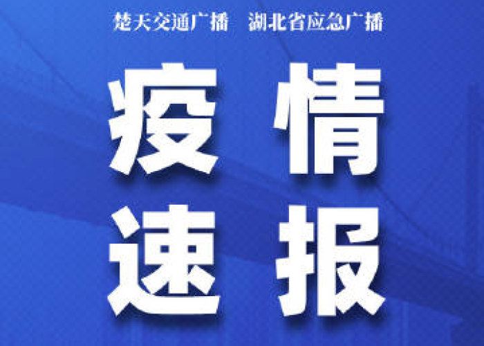 武汉最新疫情消息通报（武汉最新疫情最新数据新闻）