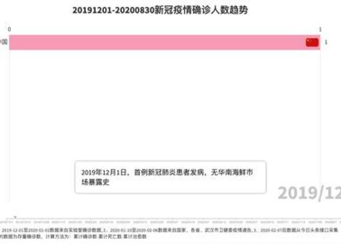 2019年十二月疫情（2019年12月疫情确诊人数）