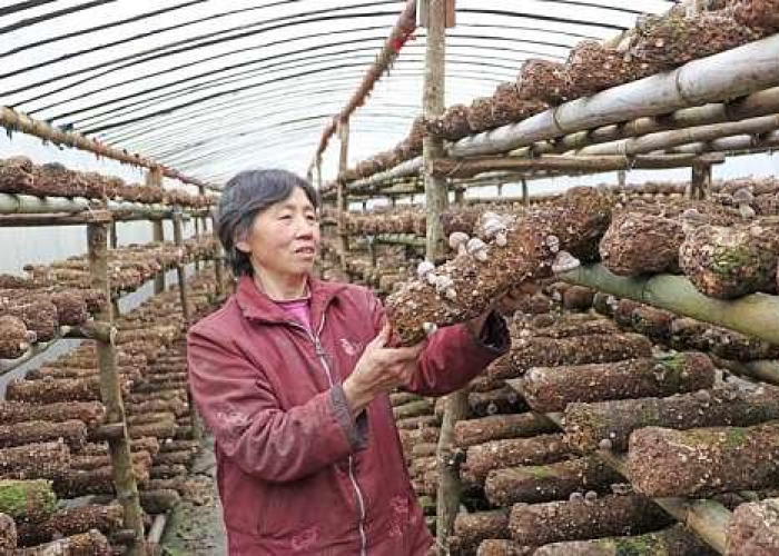 三年疫情钱没挣到（三年疫情钱没挣到怎么办）