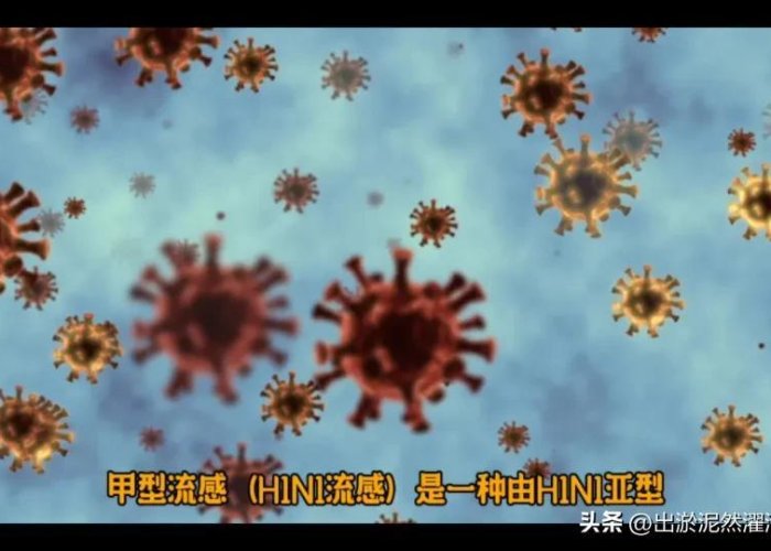 新冠疫情防控英语宣传视频（新冠疫情防控英语宣传视频大全）