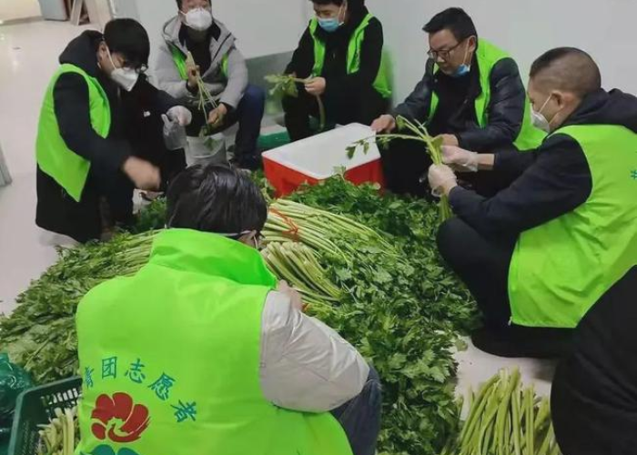 志愿服务活动疫情（疫情志愿者服务活动）