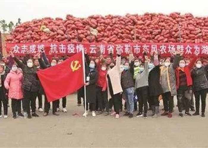 疫情背后的中国力量（疫情背后的中国力量视频）