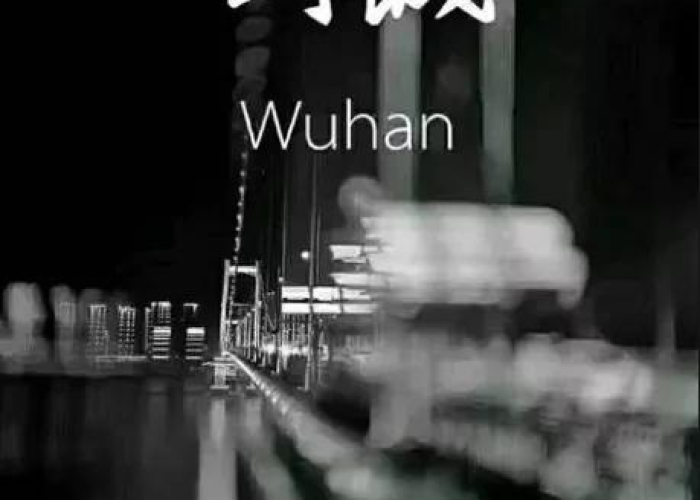 武汉新冠疫情封城是哪一天（武汉新冠肺炎封城是哪一天）