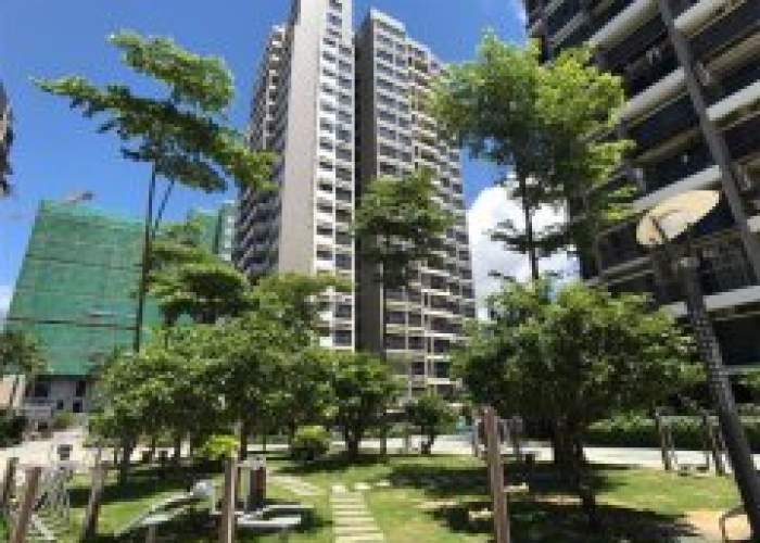 深圳布吉一村东心岭有疫情吗（布吉东心岭是哪个社区）