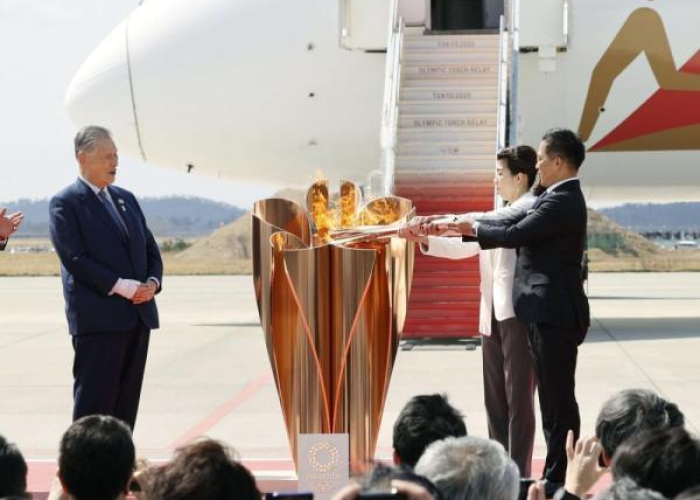 2024年12月疫情变化（2028年12月疫情）