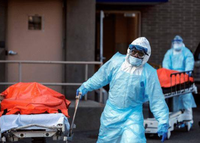 疫情情侣死亡（因疫情死亡）