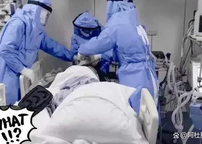 疫情情侣死亡（因疫情死亡）