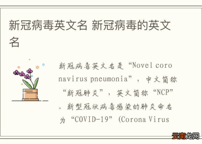 新冠疫情英语名称（新冠疫情 英文）