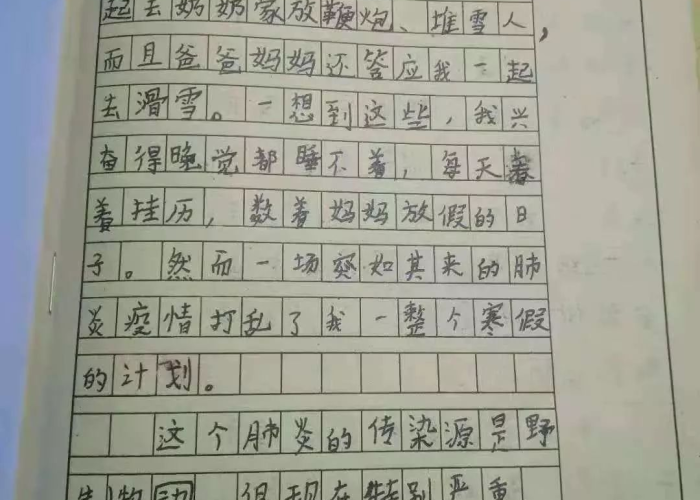 关于疫情的感动作文400字（关于疫情感动作文600字）
