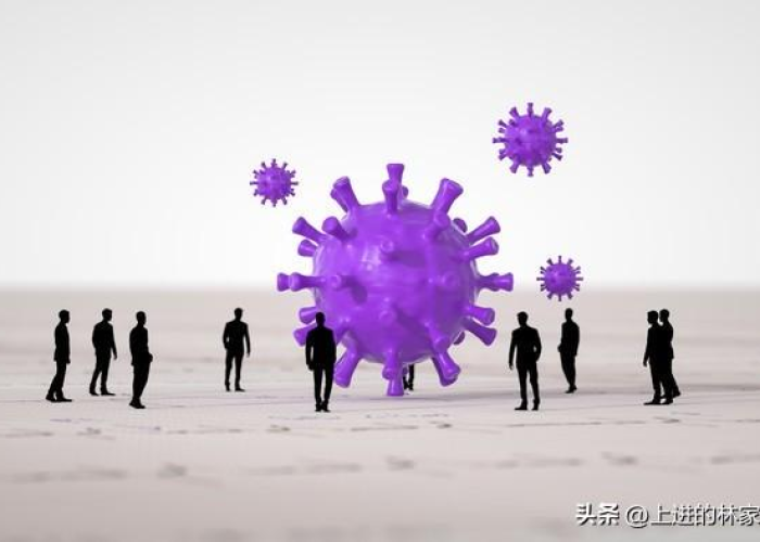 疫情是怎么来的资料（疫情到底是怎么得来的）