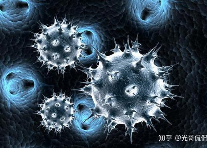 疫情病毒是什么原因引起的（疫情病毒到底来自哪里）