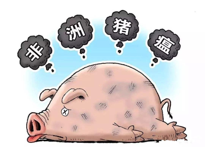 疫情是哪一年来的（疫情哪一年来的?）