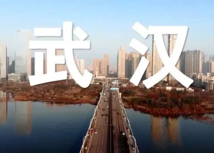 疫情期间封城的城市有哪些（疫情封城的地方有哪些）