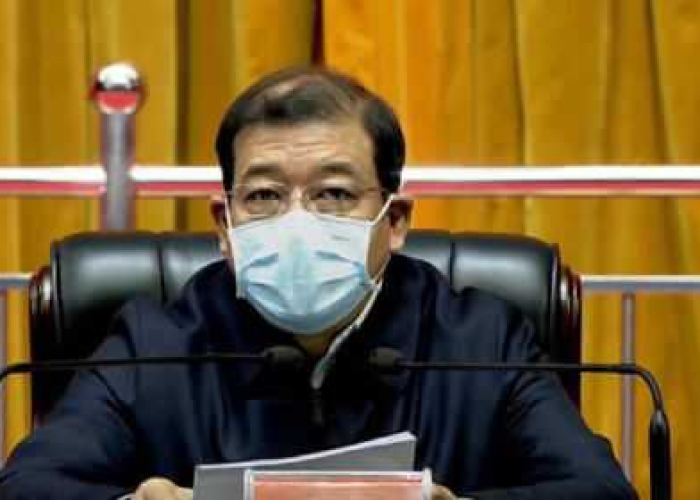 疫情处理的湖北官员（疫情期间湖北省被处理的干部）