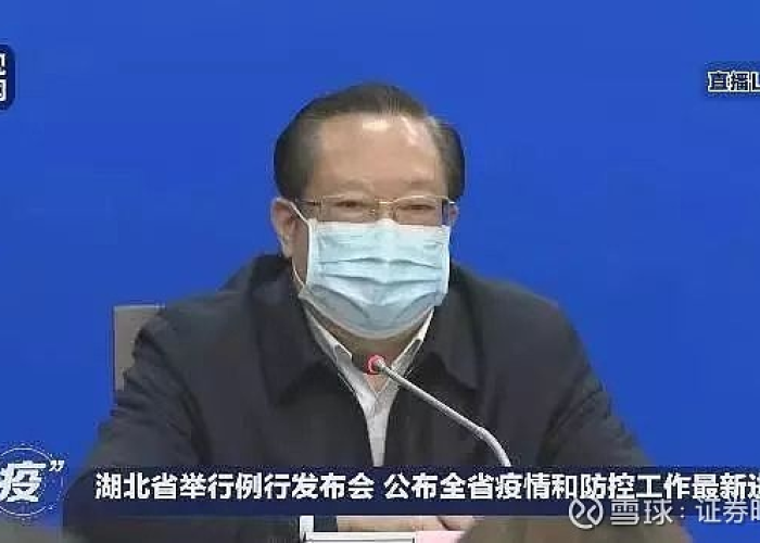 疫情处理的湖北官员（疫情期间湖北省被处理的干部）
