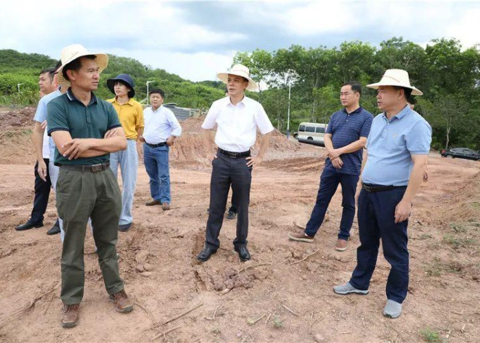 疫情期间需政府解决的问题（疫情期间需政府解决的问题有哪些）