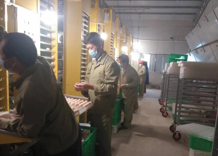 疫情期间需政府解决的问题（疫情期间需政府解决的问题有哪些）