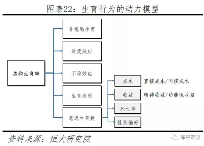2020年疫情影响下出生率提高（疫情导致出生率上升）