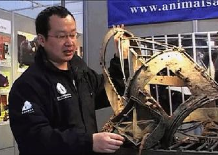 疫情是由谁引发的（疫情是谁发明的）
