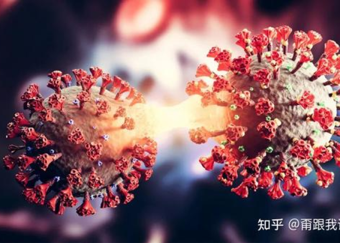 新冠病毒疫情近况怎么样（新冠病毒近期情况）