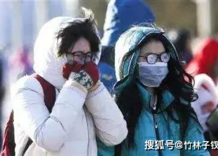疫情放开后为什么北方感染的多（为什么疫情在北方）