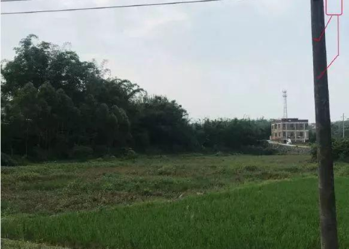 中国疫情伤亡累计多少人了（中国疫情共死亡多少）