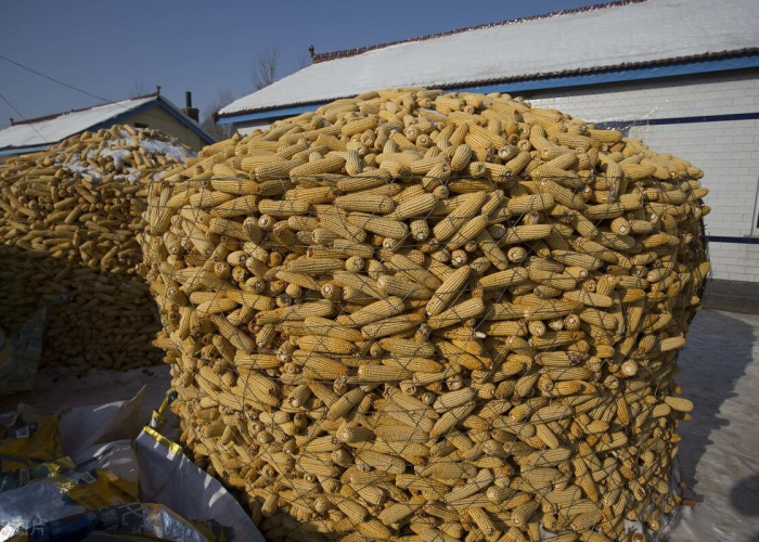 疫情准备什么干粮（疫情准备什么食物）