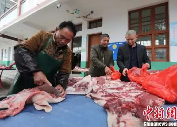 疫情全国一共死了多少人（全国疫情共有多少人死亡）