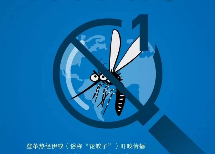 深圳伊蚊疫情防控消息最新（深圳伊蚊多吗）