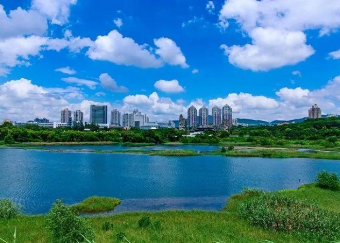 深圳疫情来源真实原因（深圳疫情来源真实原因是什么）