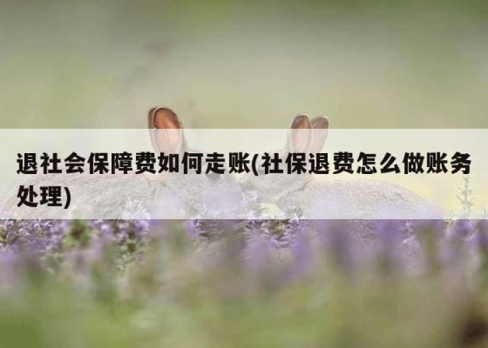 疫情社保退6000（疫情期间社保退费的账务处理）