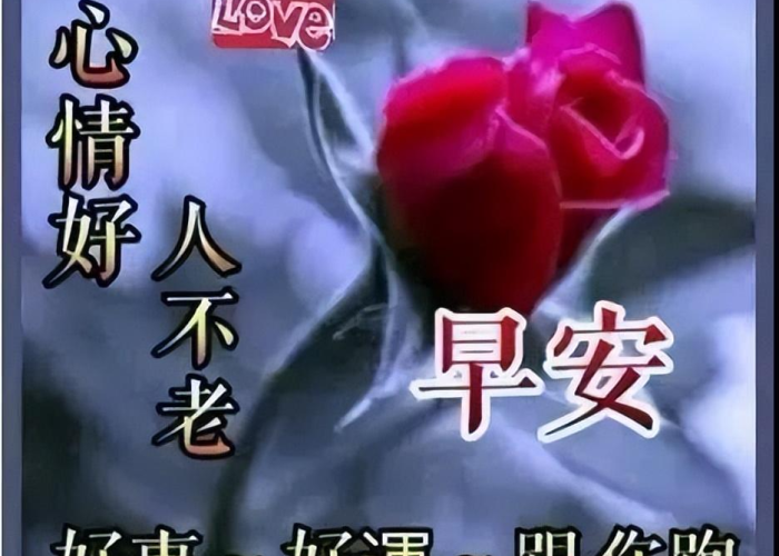 疫情当下服装人努力正能量句子（疫情期间服装行业怎么样）