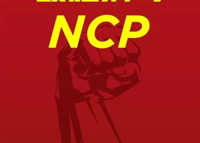 关于新冠疫情的英语新闻报道（关于新冠肺炎疫情的英语新闻）